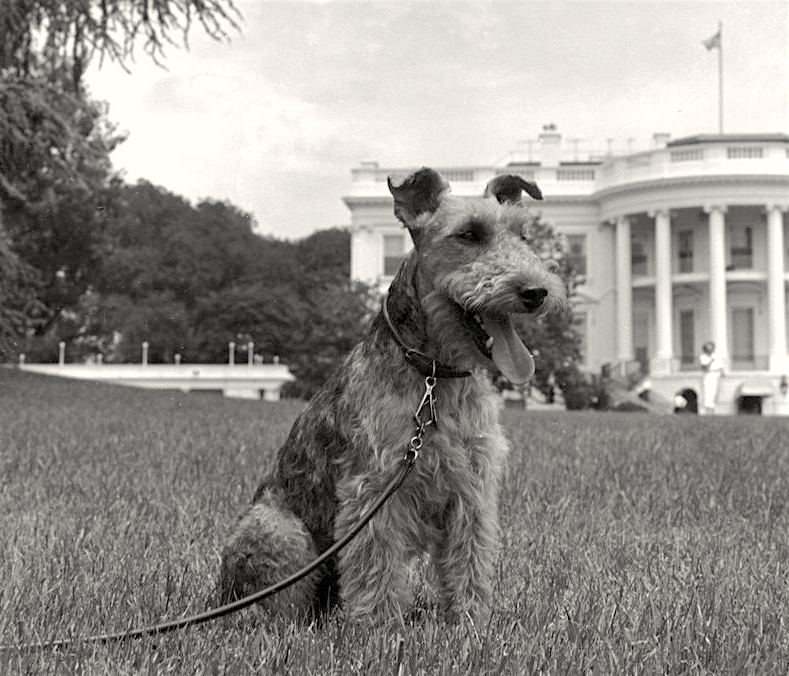 The President And His Small Dog