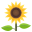 🌻