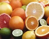 citrus_18024.jpg