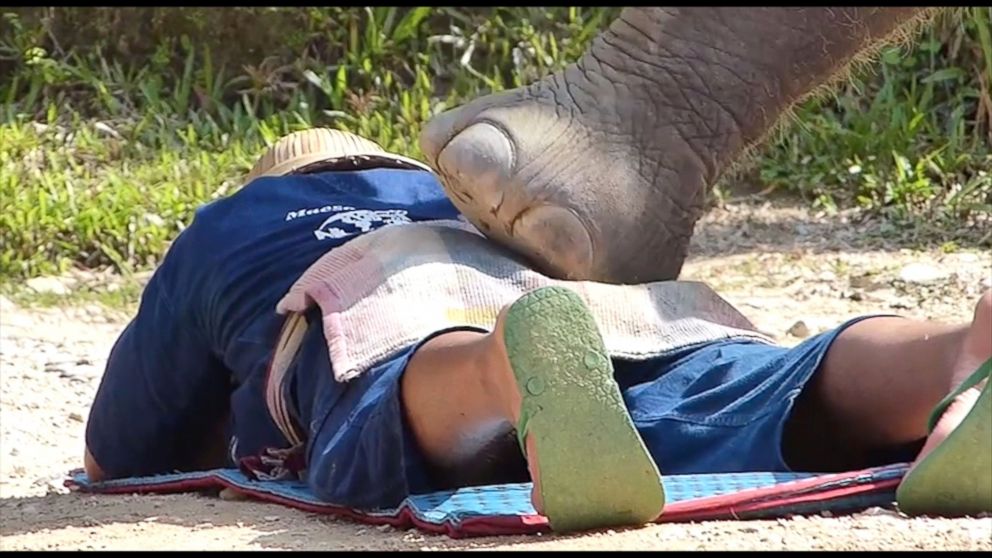 ht_elephant_massage_1_kab_150129_16x9_992.jpg