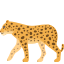 🐆